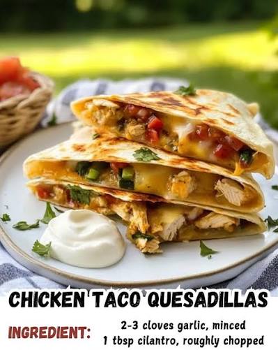 Chicken Quasadilla